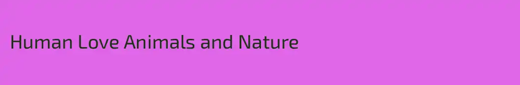 Human Love Animals and Nature